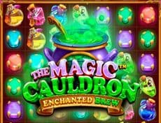 The Magic Cauldron Enchanted Brew